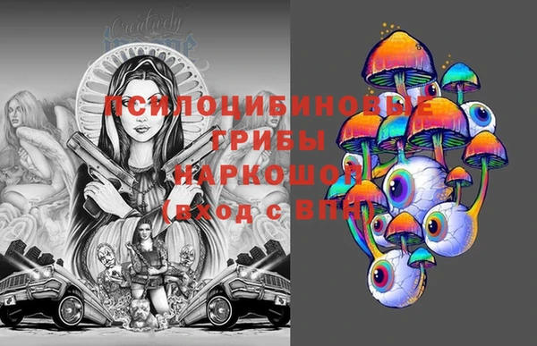 МДПВ Алексин