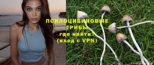 МДПВ Алексин