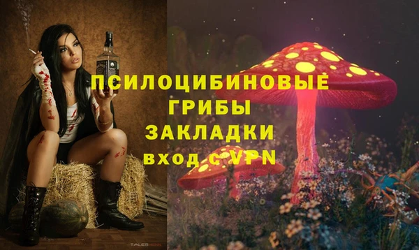 амф Алзамай