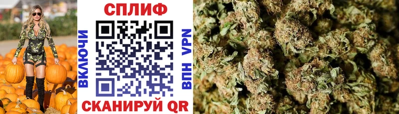 что такое   omg рабочий сайт  Марихуана SATIVA & INDICA  Каргат 
